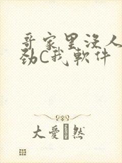 哥家里没人使点劲C我软件