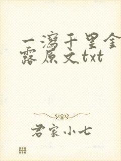 一泻千里金银花露原文txt封面