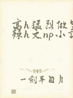 高h猛烈做哭高辣h文np小说封面