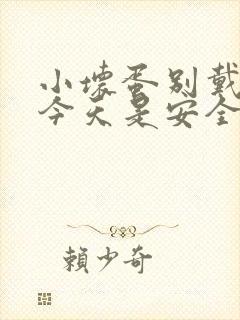 小坏蛋别戴套了今天是安全期封面