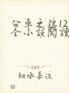公车之狼12集全小说阅读