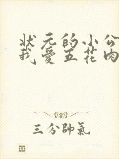 状元的小公主(我爱五花肉)