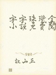 字字珠玑金银花小说免费阅读
