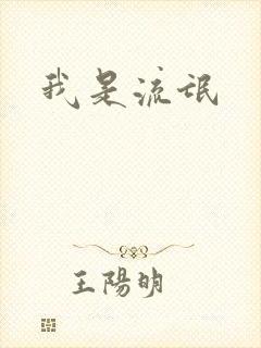 我是流氓封面
