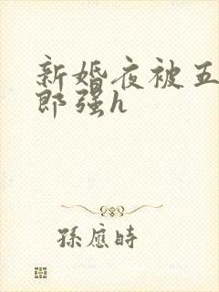 新婚夜被五个伴郎强h