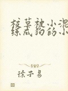 校草被小混混训练成狗的小说