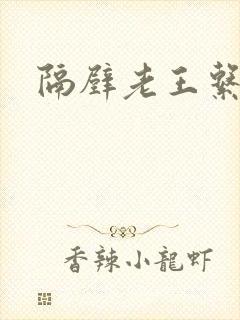 隔壁老王系统封面