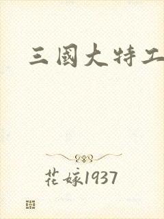 三国大特工