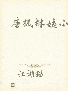 唐枫林姨小说