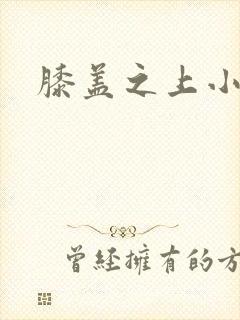 膝盖之上小说