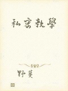 私密教学