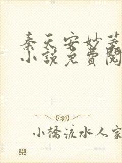 秦天安妙菱修仙小说免费阅读正版封面