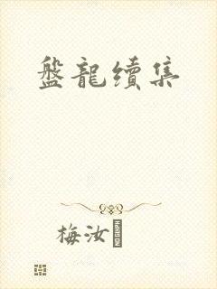 盘龙续集