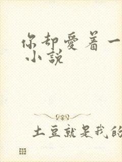 你却爱着一个他 小说封面
