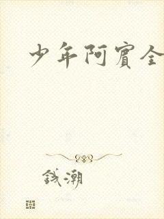 少年阿宾全集封面