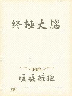 终极大脑