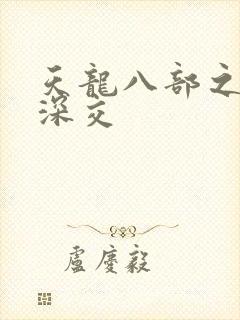 天龙八部之极乐深交封面