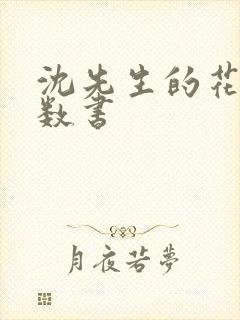 沈先生的花式调数书