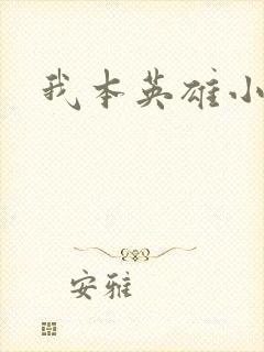 我本英雄小说