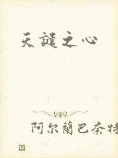 天谴之心
