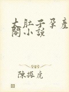 大肚子孕产笔趣阁小说