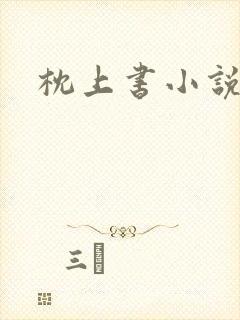 枕上书小说