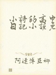 小诗的高中成长日记小说免费阅读封面