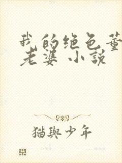我的绝色董事长老婆 小说