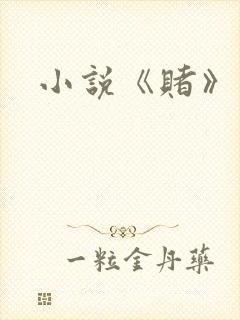 小说《赌》