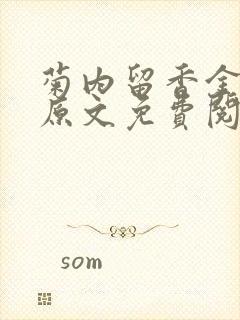 菊内留香金银花原文免费阅读封面