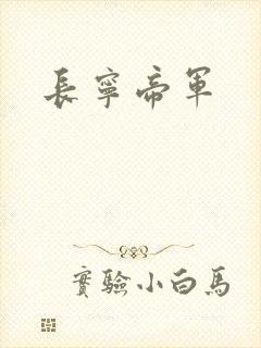 长宁帝军