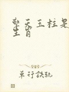 擎天玉柱是什么生肖封面