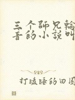 三个师兄轮流上音的小说叫什么