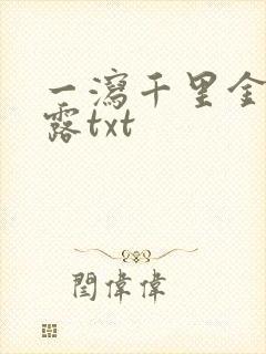 一泻千里金银花露txt