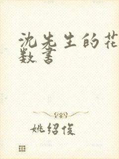 沈先生的花式调数书封面