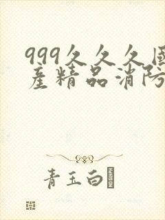 999久久久国产精品消防器材封面
