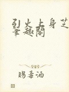 引火上身芝麻糖笔趣阁封面