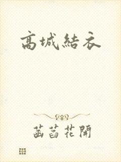 高城结衣封面