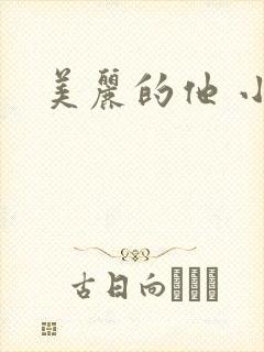 美丽的他 小说