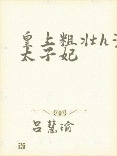 皇上粗壮h灌满太子妃封面