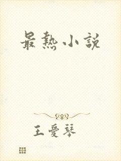 最热小说