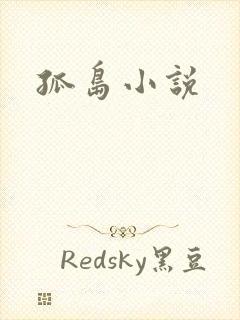 孤岛小说