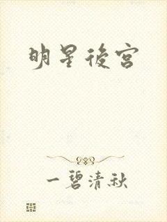 明星后宫