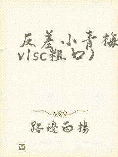 反差小青梅(1v1sc粗口)