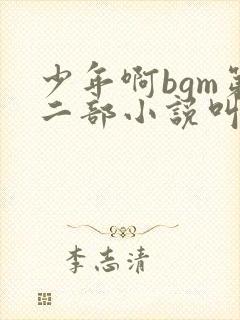 少年啊bgm第二部小说叫什么封面