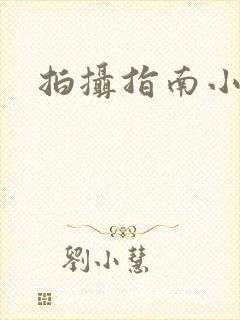 拍摄指南小说