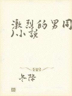 激烈的男同(h)小说