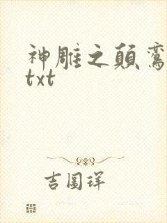 神雕之颠鸾倒凤txt封面