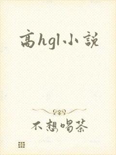 高hgl小说