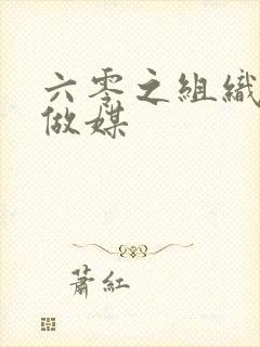 六零之组织给我做媒